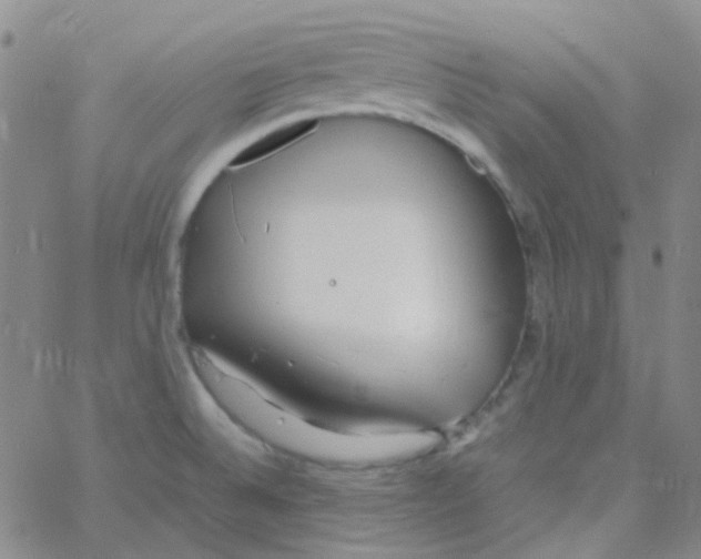 X0000060771524200512082020