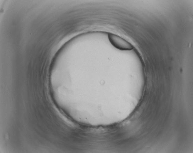 X0000060771525200512082020