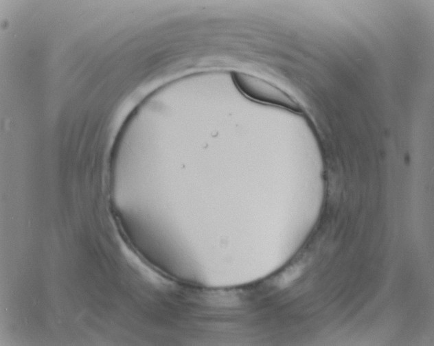 X0000060771527200512082021