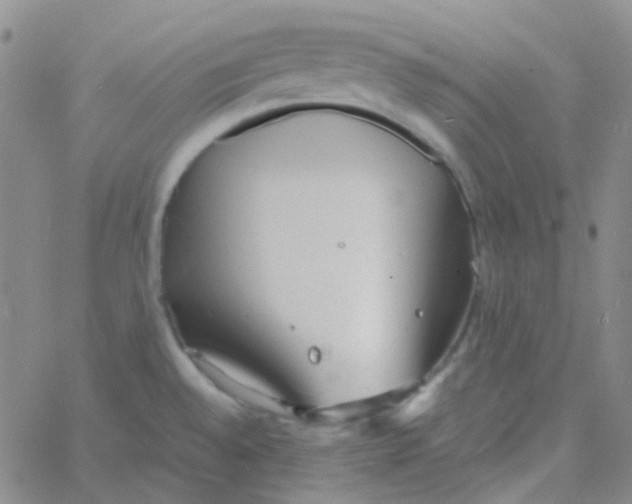 X0000060771528200512082021