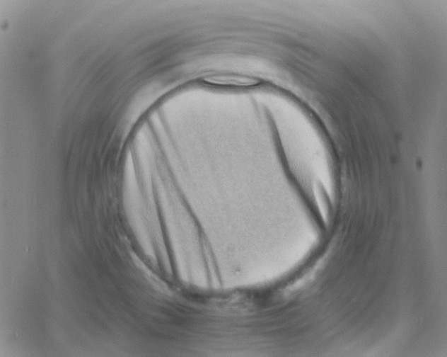 X0000060771529200512082021