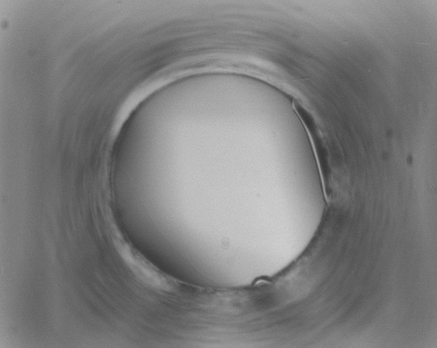 X0000060771530200512082021