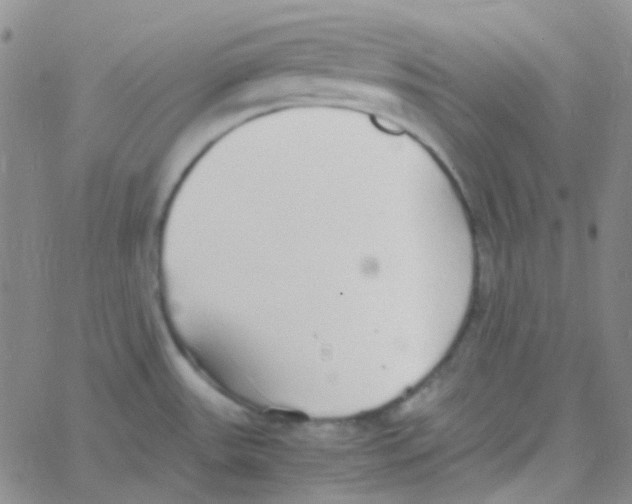 X0000060771531200512082021