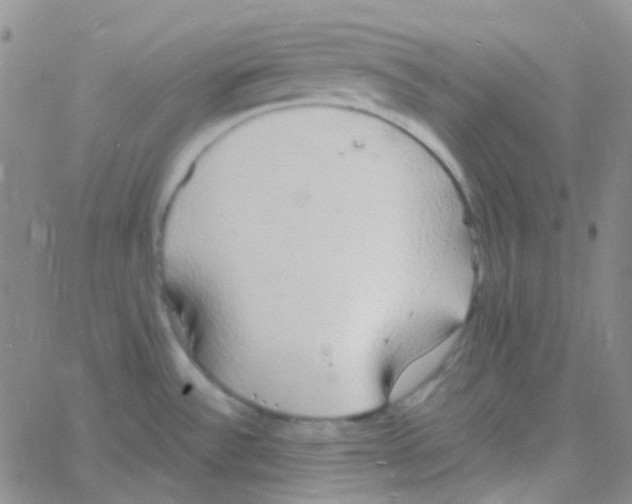 X0000060771532200512082021