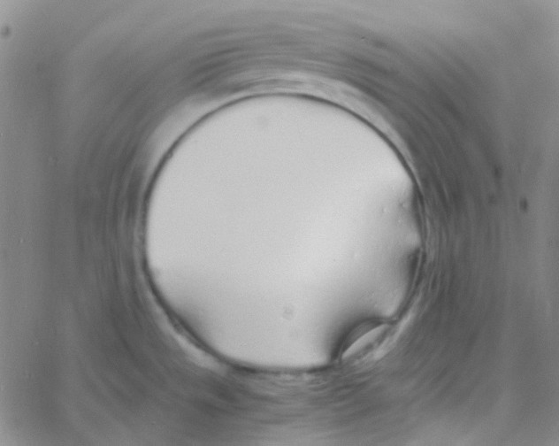 X0000060771533200512082021