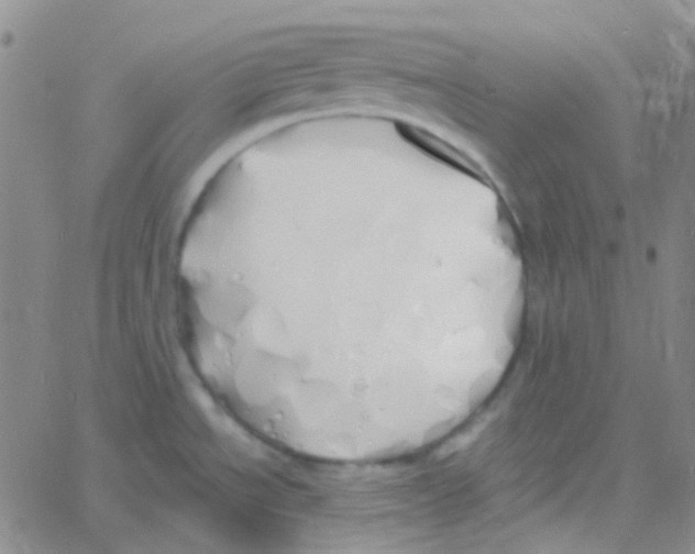 X0000060771534200512082021