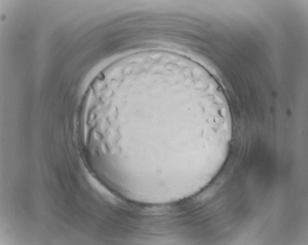 X0000060771535200512082021