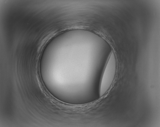X0000060780001200511101020