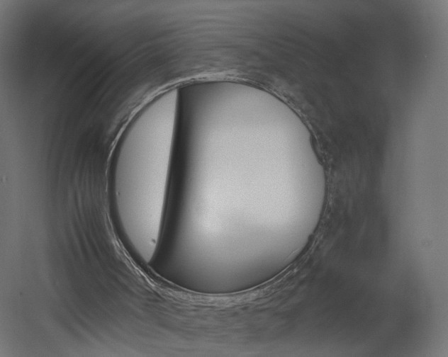 X0000060780002200511101020