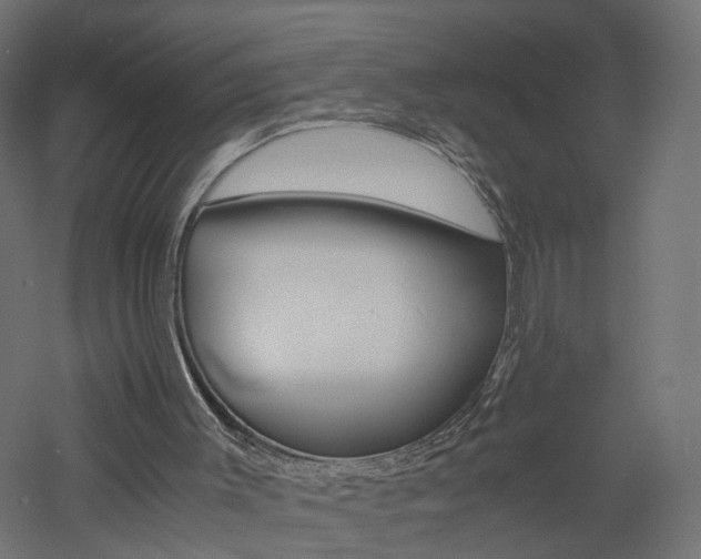 X0000060780003200511101020