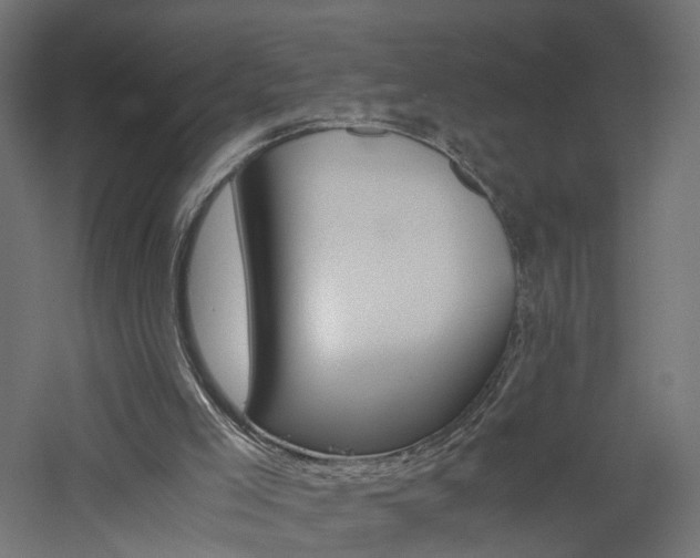 X0000060780005200511101020