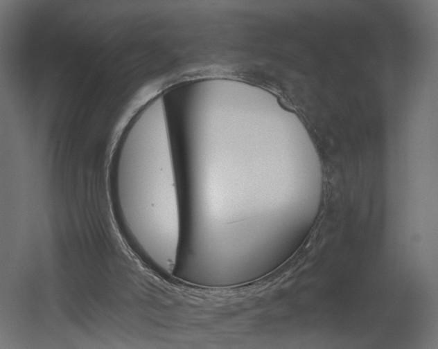 X0000060780006200511101020