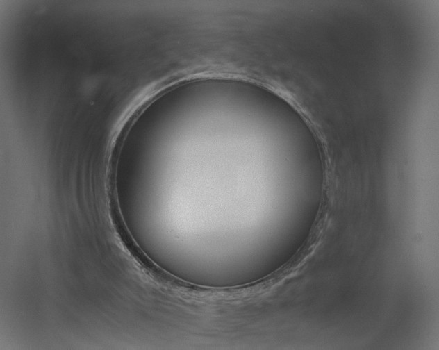 X0000060780007200511101020