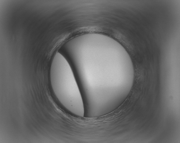 X0000060780014200511101020
