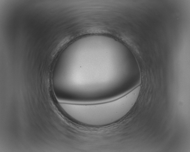X0000060780015200511101020