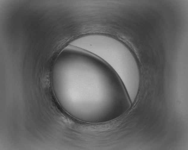 X0000060780017200511101020