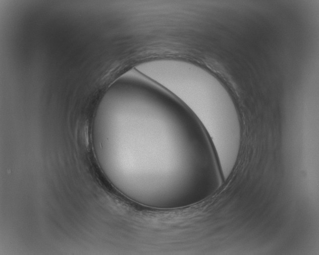 X0000060780021200511101020