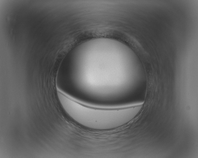 X0000060780025200511101020