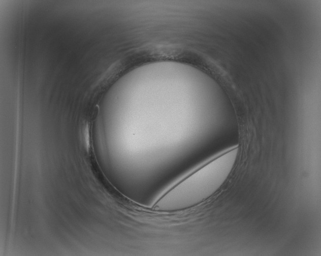 X0000060780027200511101020