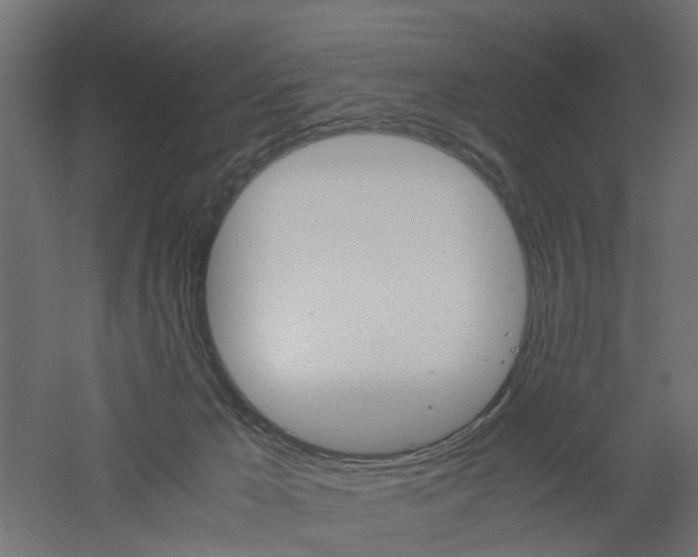 X0000060780029200511101020