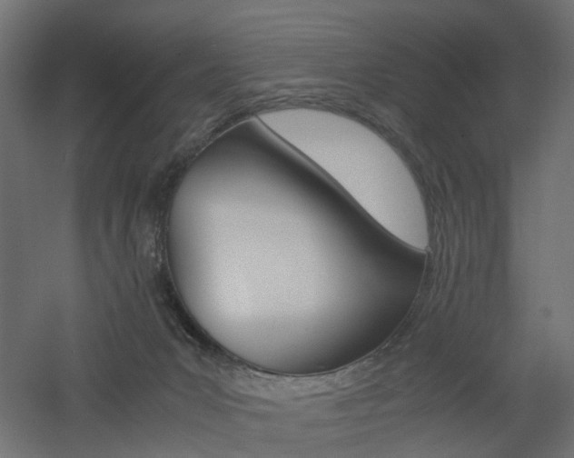 X0000060780031200511101020