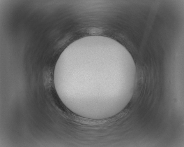 X0000060780032200511101020