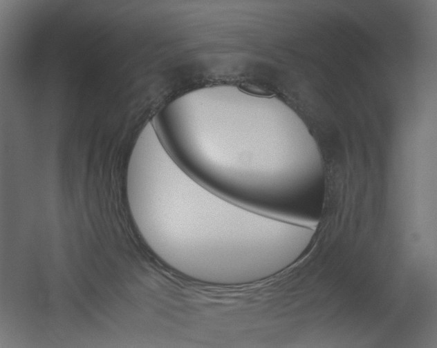 X0000060780033200511101020