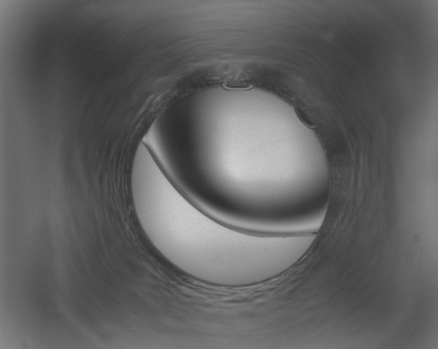 X0000060780035200511101020