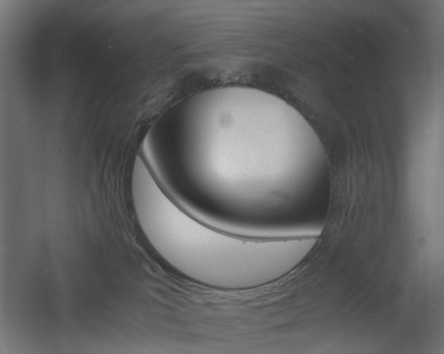 X0000060780039200511101020