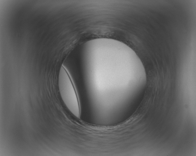 X0000060780040200511101020