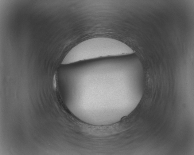 X0000060780042200511101019
