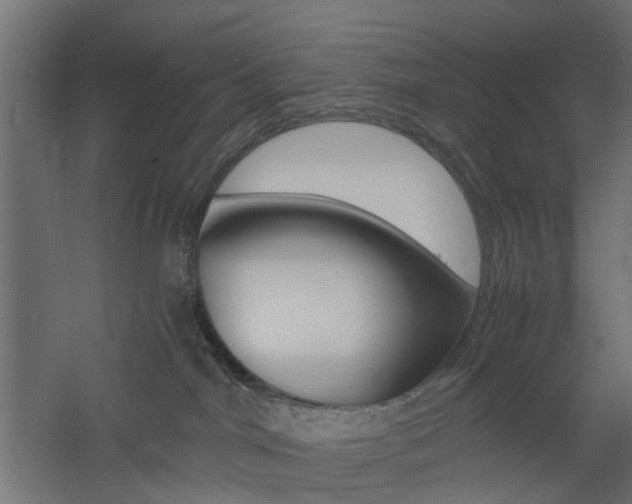 X0000060780044200511101019