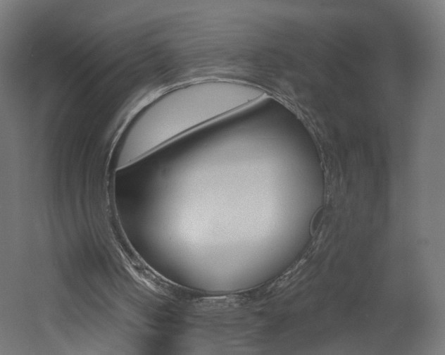 X0000060780050200511101019