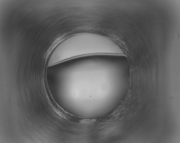 X0000060780051200511101019