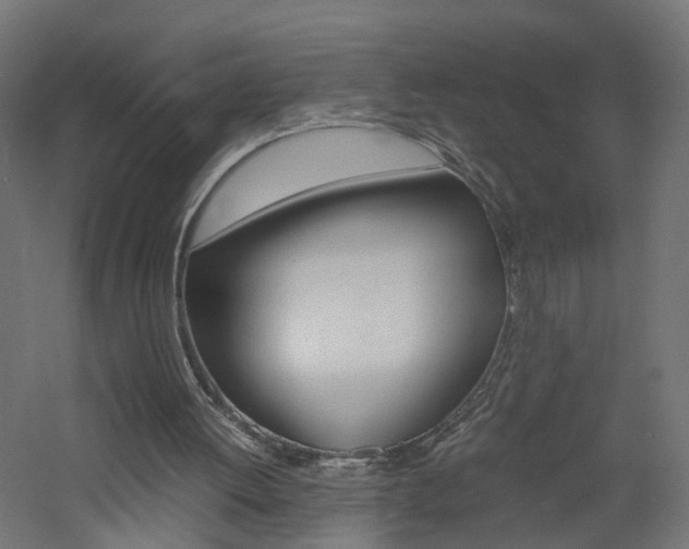 X0000060780052200511101019