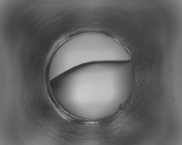 X0000060780053200511101019