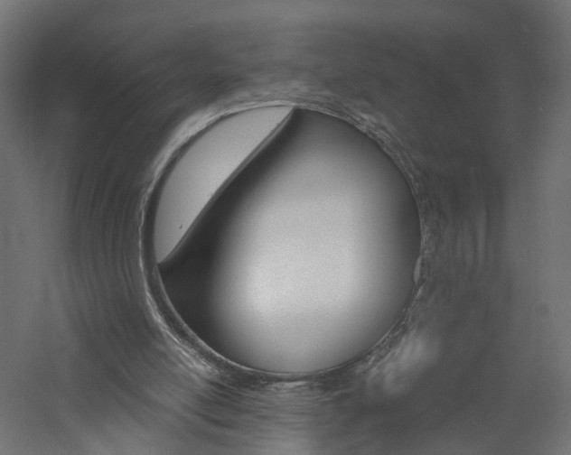 X0000060780054200511101019