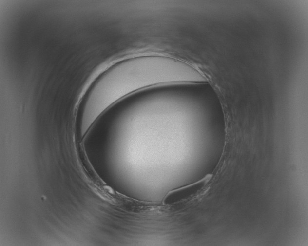 X0000060780056200511101019