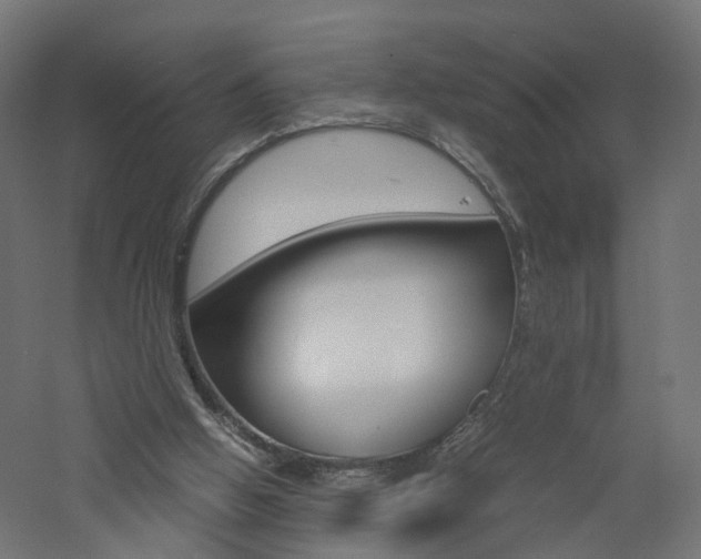 X0000060780058200511101019
