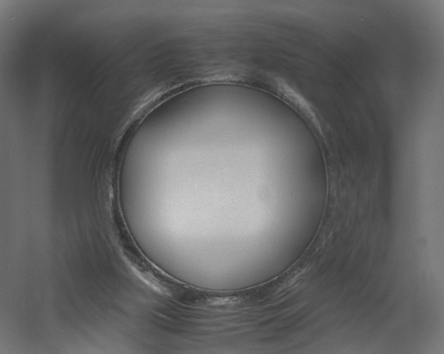 X0000060780059200511101019