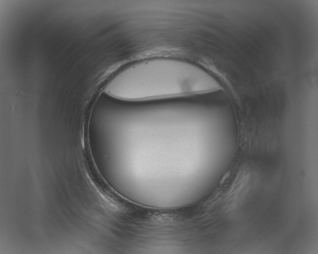 X0000060780062200511101019