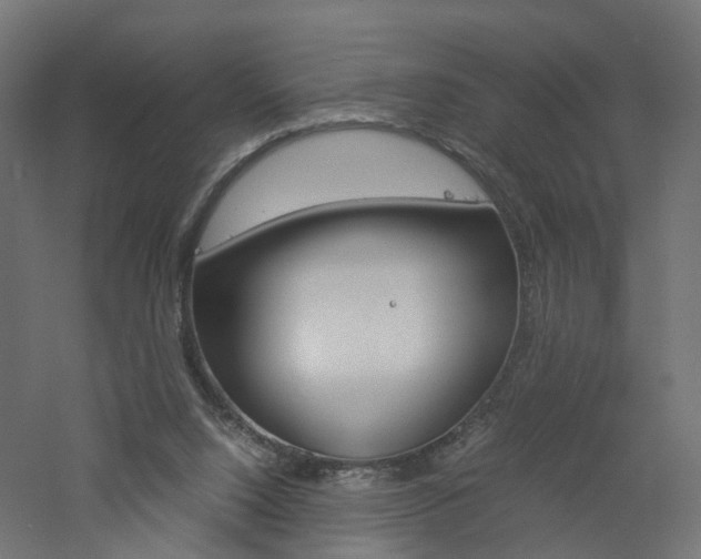 X0000060780064200511101019