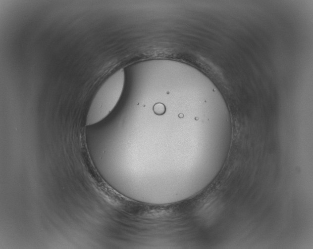 X0000060780065200511101019