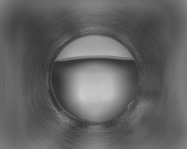 X0000060780066200511101019