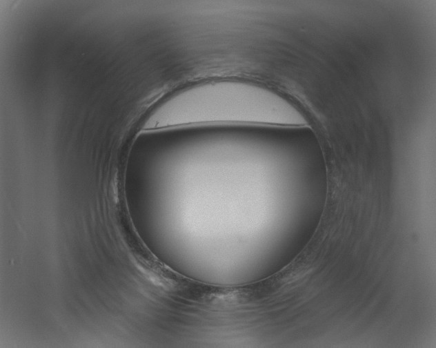 X0000060780068200511101019