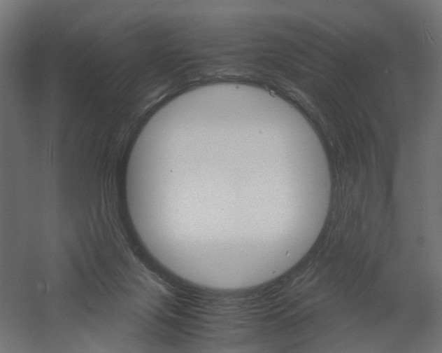 X0000060780071200511101019