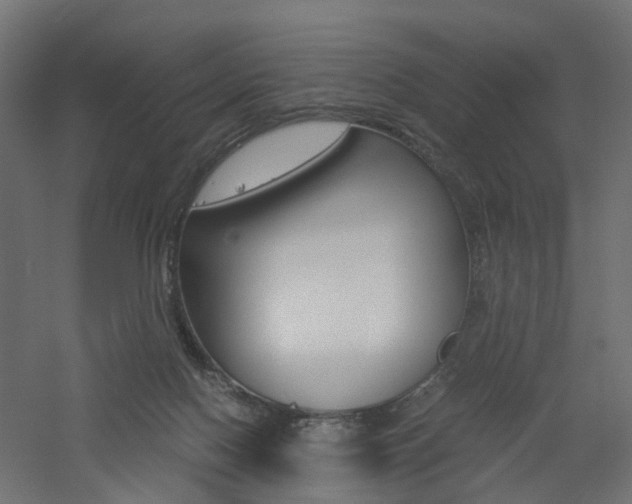 X0000060780074200511101019