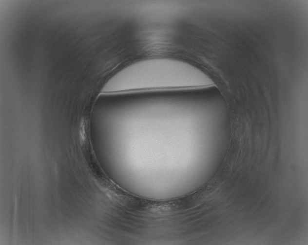 X0000060780075200511101019