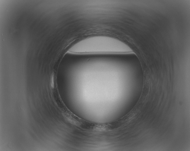 X0000060780076200511101019