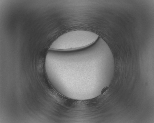 X0000060780082200511101019